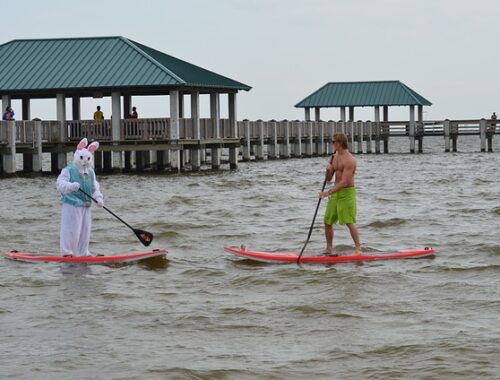 Fra børn til voksne: Sådan kan hele familien nyde sjove og aktive stunder på vandet med Watery's paddleboards