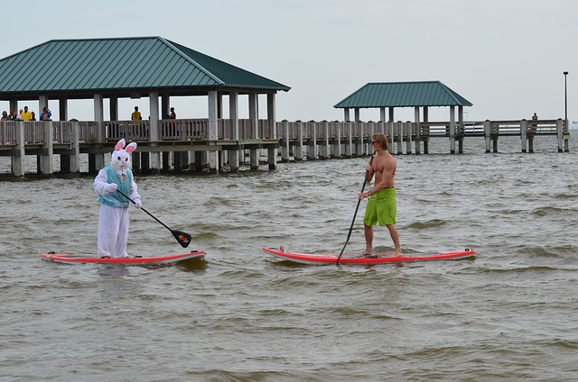 Fra børn til voksne: Sådan kan hele familien nyde sjove og aktive stunder på vandet med Watery's paddleboards